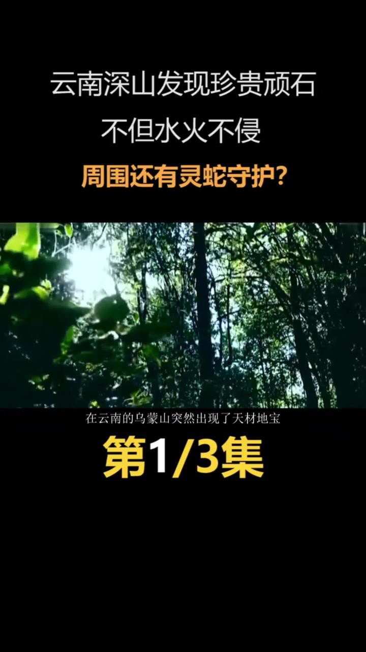 云南深山发现珍贵顽石,不但水火不侵,周围还有灵蛇守护?#顽石#水火不侵#奇闻异事 (1)