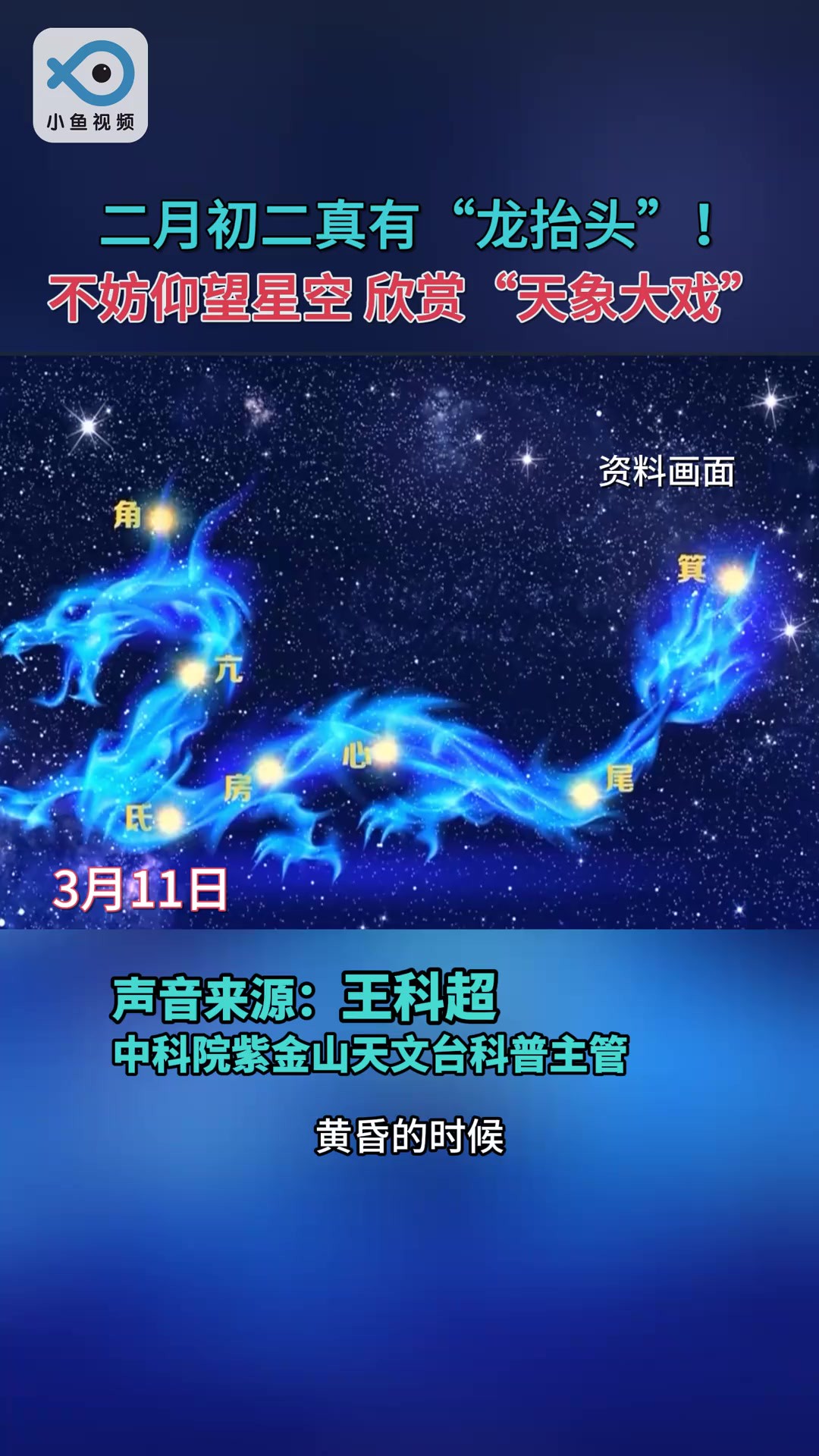 3月11日,角宿将从东方地平线缓缓升起,仿佛“龙抬头”一般.今晚不妨抬头仰望一下星空,欣赏难得一见的“天象大戏”.(央视网)