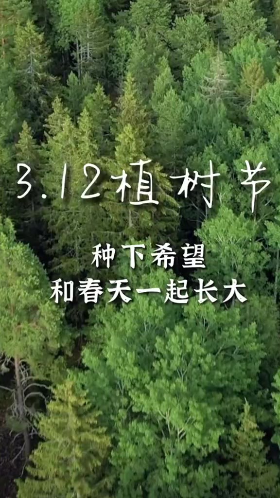 3.12植树节 种下希望 和春天一起长大