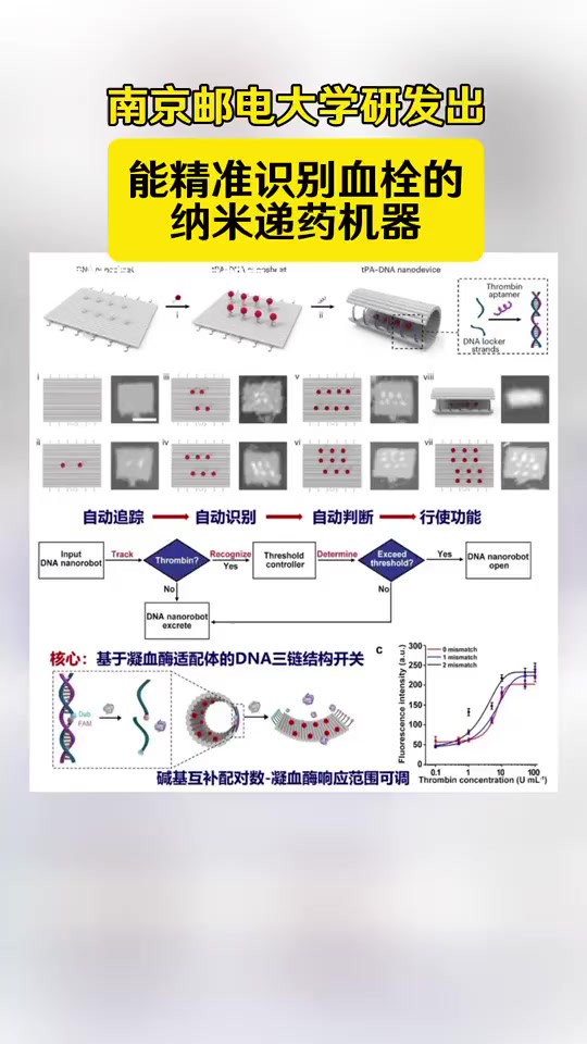 南京邮电大学研发出能精准识别血栓的纳米递药机器!