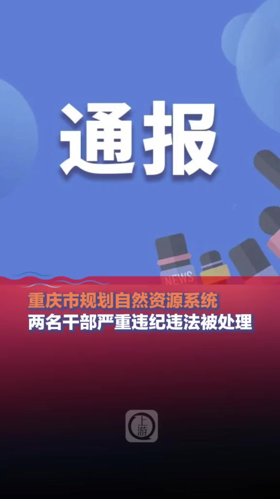 3月12日,重庆市规划自然资源系统两名干部严重违纪违法被处理