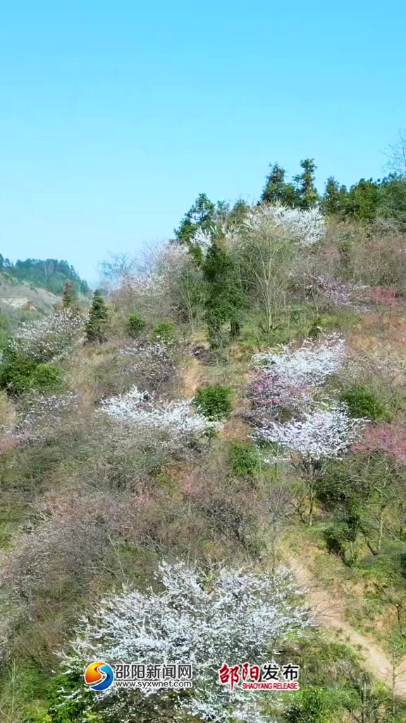 在这个春和景明的时节,一起徜徉花海吧