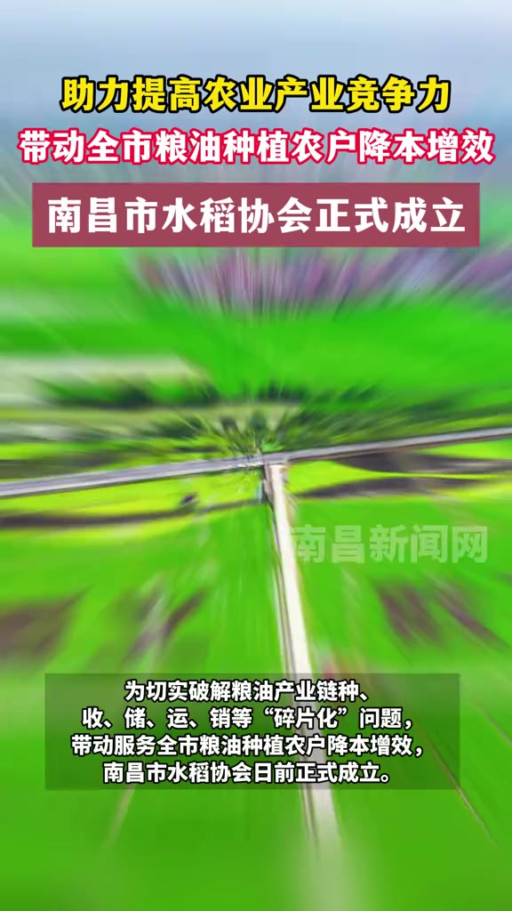 助力提高农业产业竞争力,带动全市粮油种植农户降本增效,南昌市水稻协会正式成立