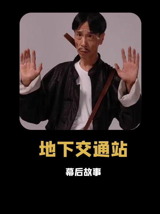 小时候光顾着看汉奸贾队长,却忽略了地下交通站中隐藏的明星大咖