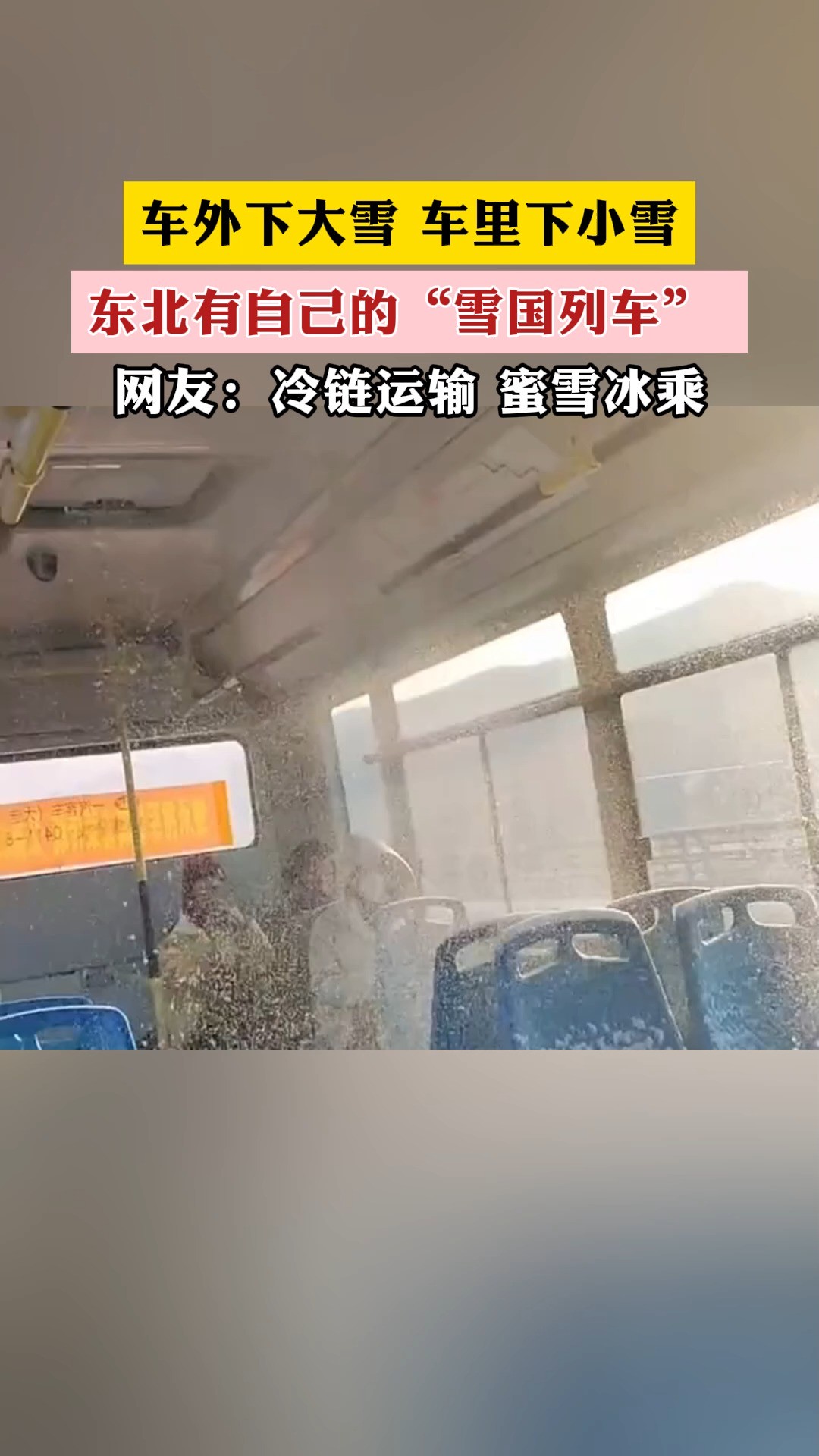 冷链运输 蜜雪冰乘