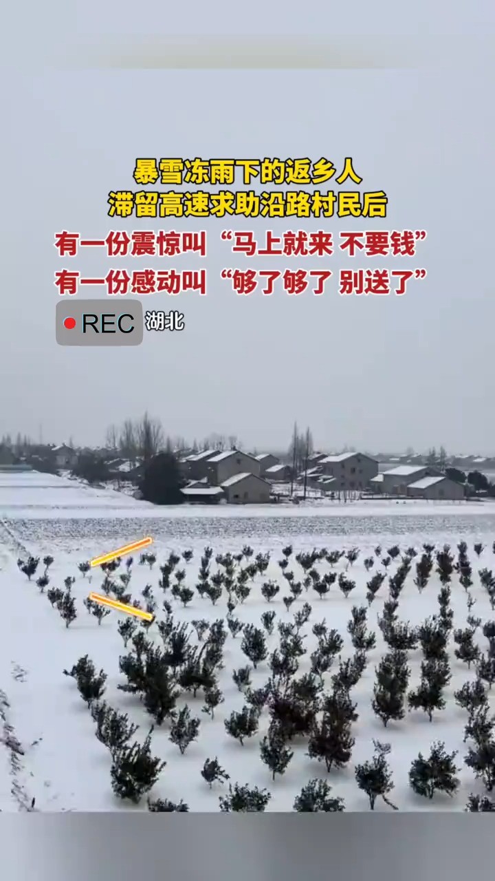 暴雪冻雨下的逗乡人滞留高速求助沿路村民后有一份震惊叫“马上就