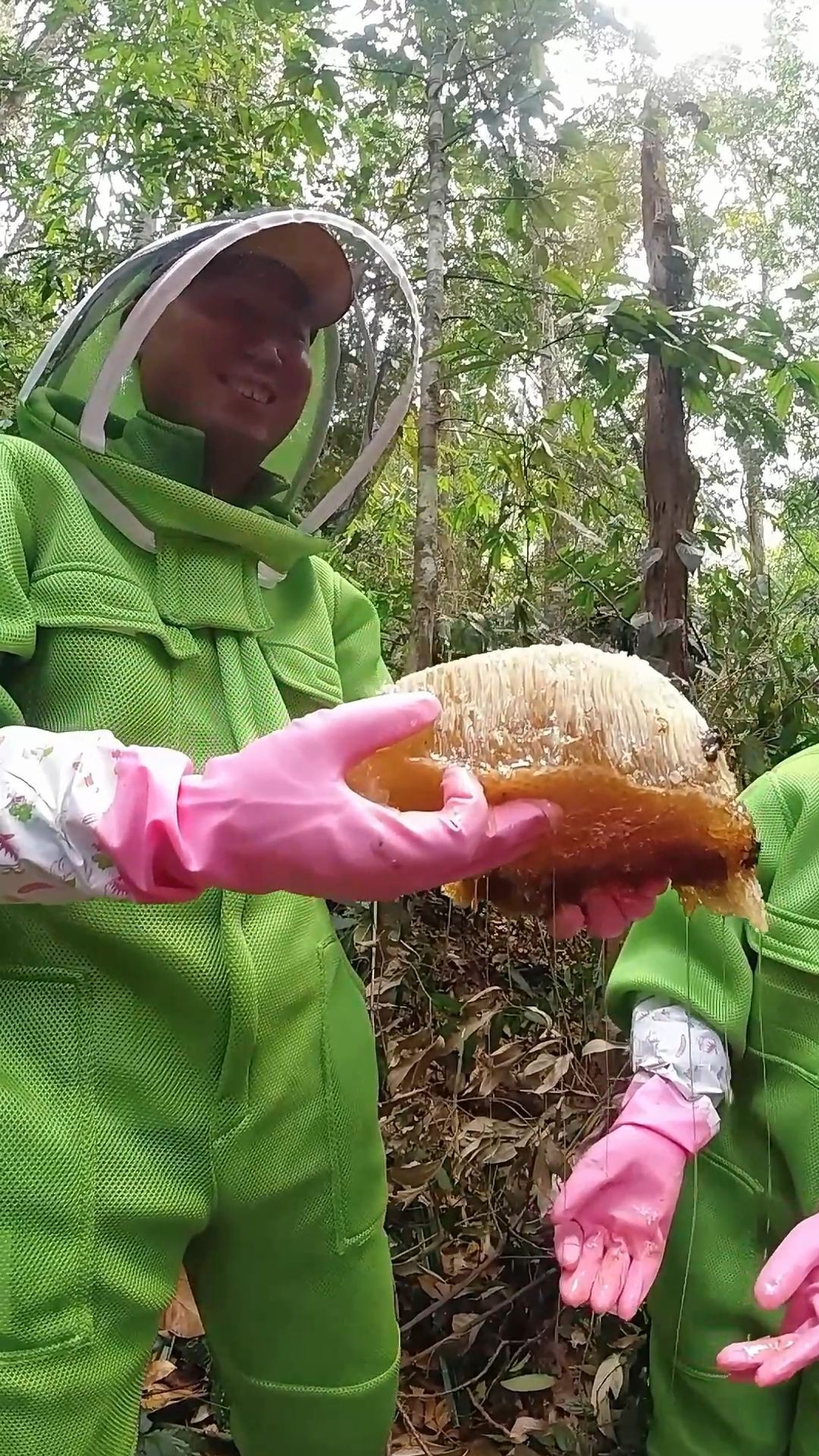 森林里的寻蜜人,大自然的探索者