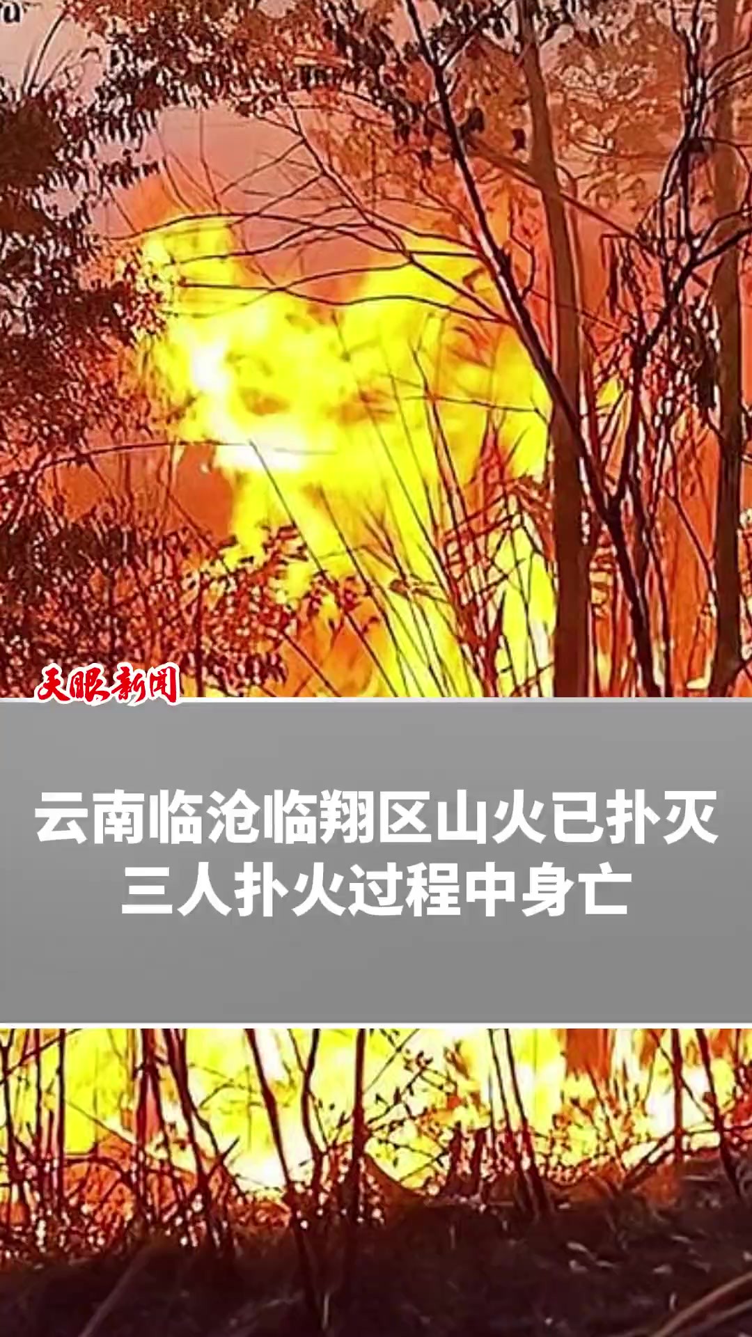 云南临沧临翔区山火已扑灭,三人扑火过程中身亡(来源:央视新闻)