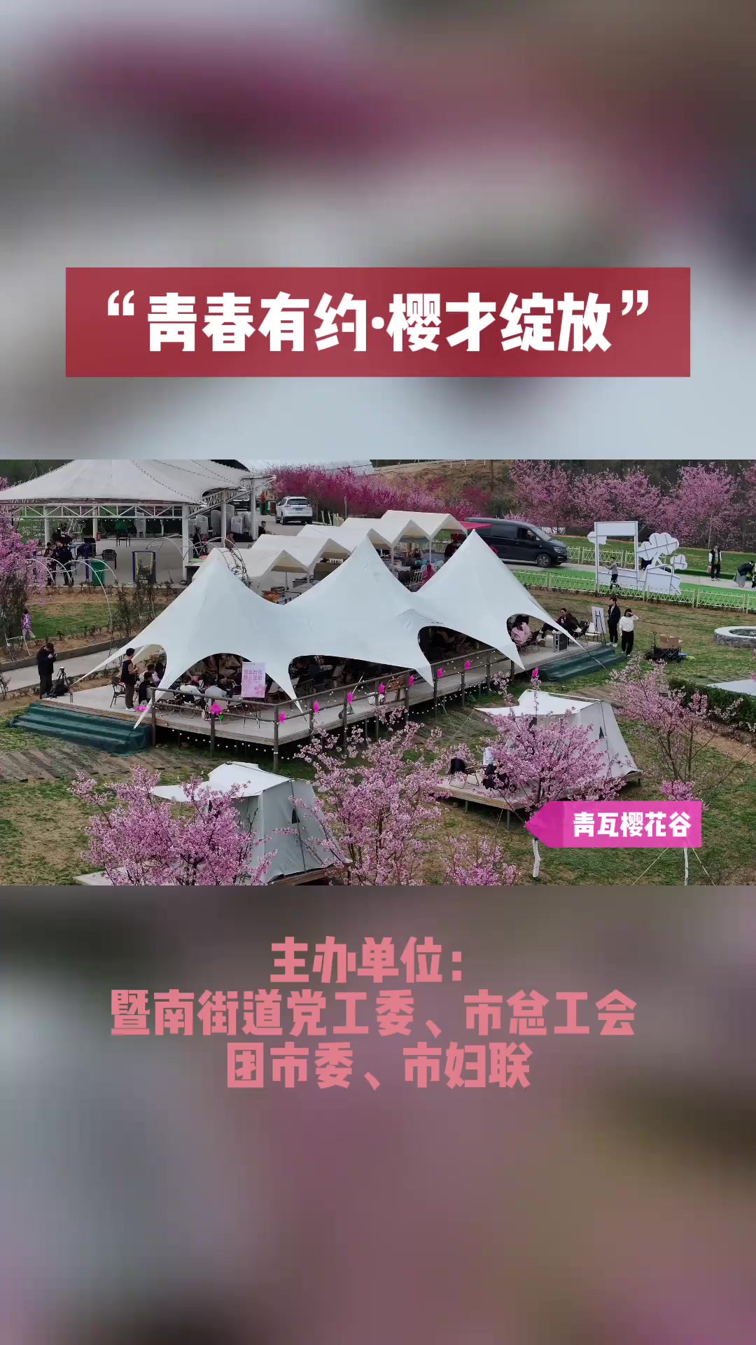 “青春有约 樱才绽放”,青年人才交流活动在暨南街道青瓦樱花谷举行 (作者:袁浙凯)