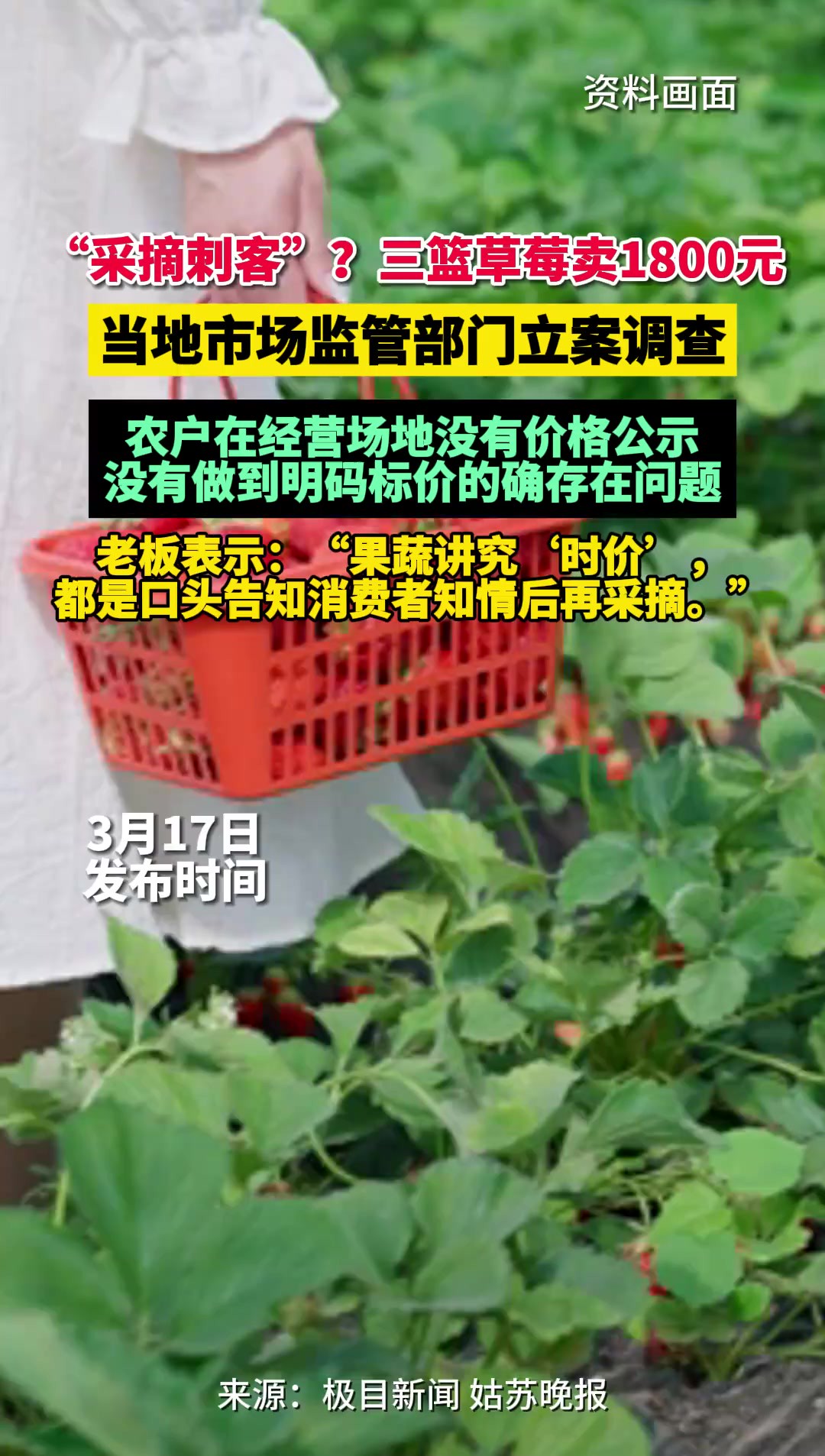 “采摘刺客”?三篮草莓卖1800元 当地市场监管部门立案调查:农户在经营场地没有价格公示,没有做到明码标价的确存在问题.老板表示:“果蔬讲究'...