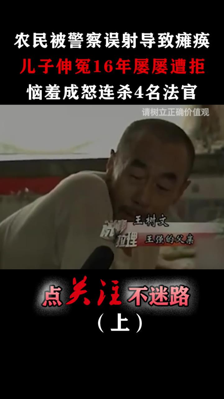 父亲被误射导致瘫痪,儿子伸冤16年无果,恼羞成怒连杀4名法官!#王强#法官#真实事件#社会 (1)