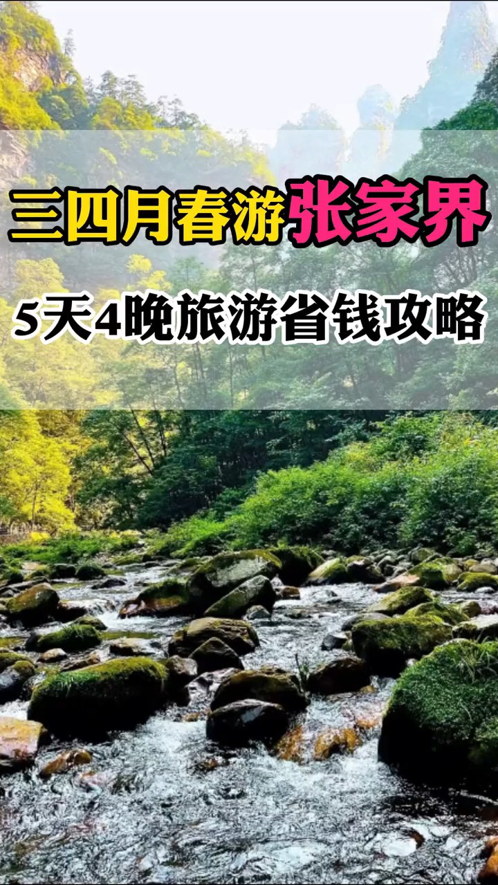 踏青就来张家界,五天四晚最全旅游攻略都整理好了#张家界永定文旅推荐官 #张家界旅游攻略 #湖南旅游攻略 #张家界拍照攻略 #踏青好去处# 