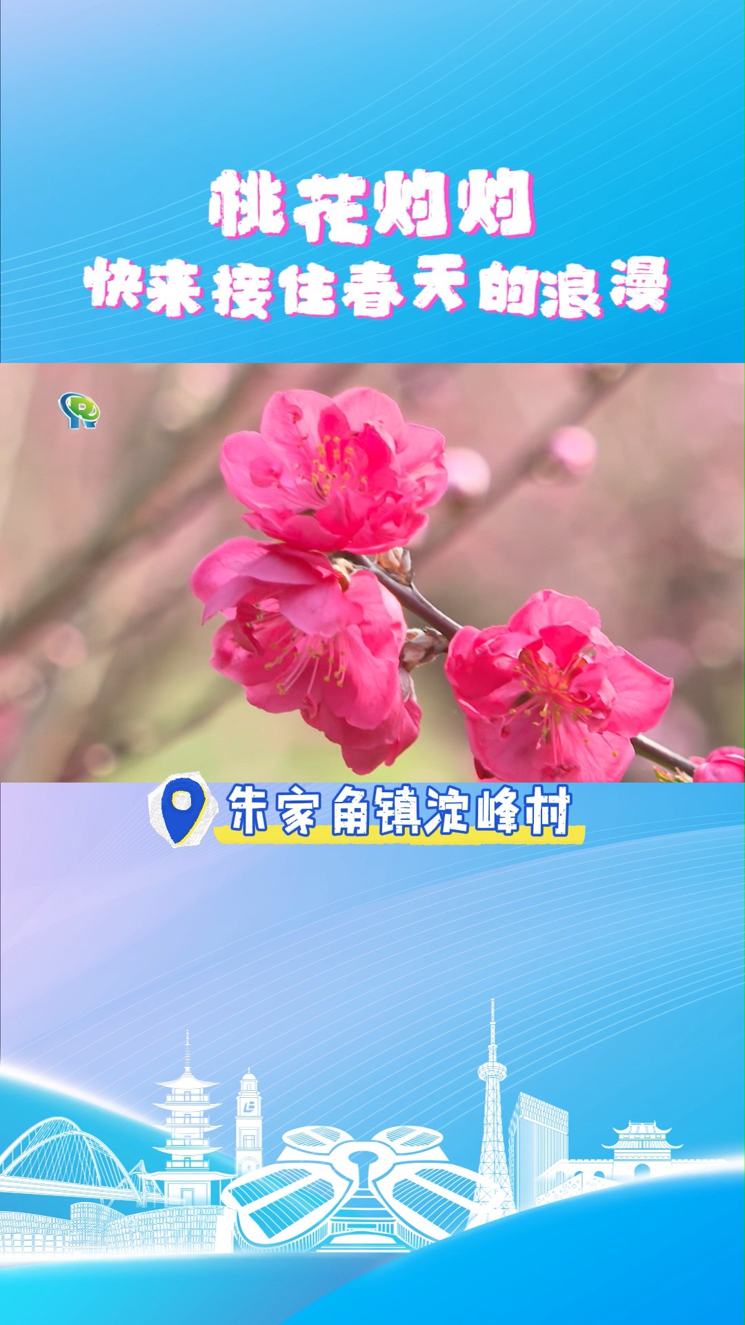 桃花灼灼,快来接住春天的浪漫~#桃花#春天