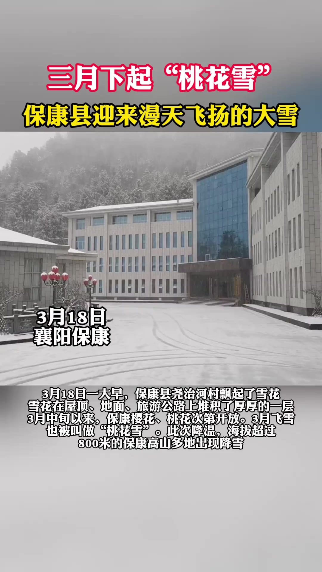 保康迎来“桃花雪” 记者周建春 通讯员袁俊耀 编辑余子威