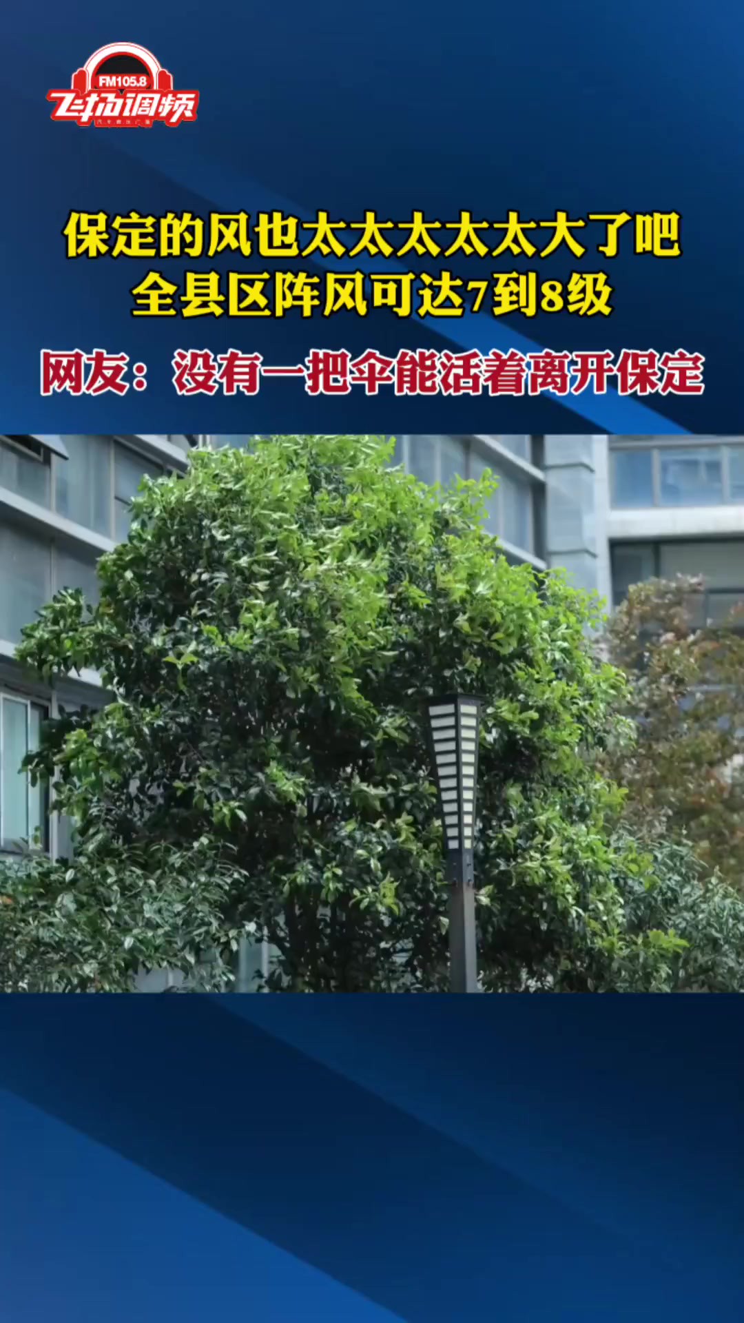 3月19日,保定继续发布大风蓝色预警信号:全部县区仍有西北风4到6级,阵风7到8级.