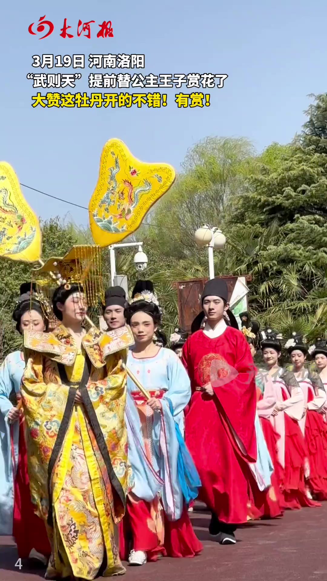 “武则天”带领众臣赏花!大赞这牡丹开的不错,有赏!