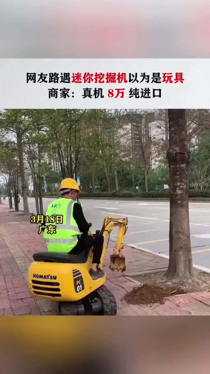 网友路遇迷你挖掘机以为是玩具,商家:真机,8万,纯进口!