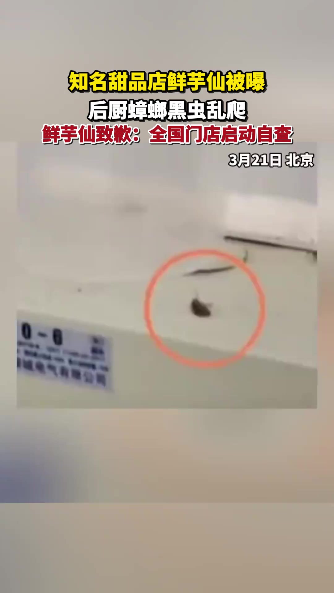 知名甜品店鲜芋仙被曝后厨蟑螂黑虫乱爬,鲜芋仙致歉:全国门店启动自查