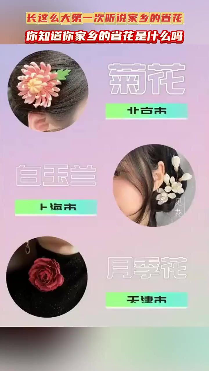 每个省份都有属于自己的省花,你知道你们家乡的省花是什么吗?