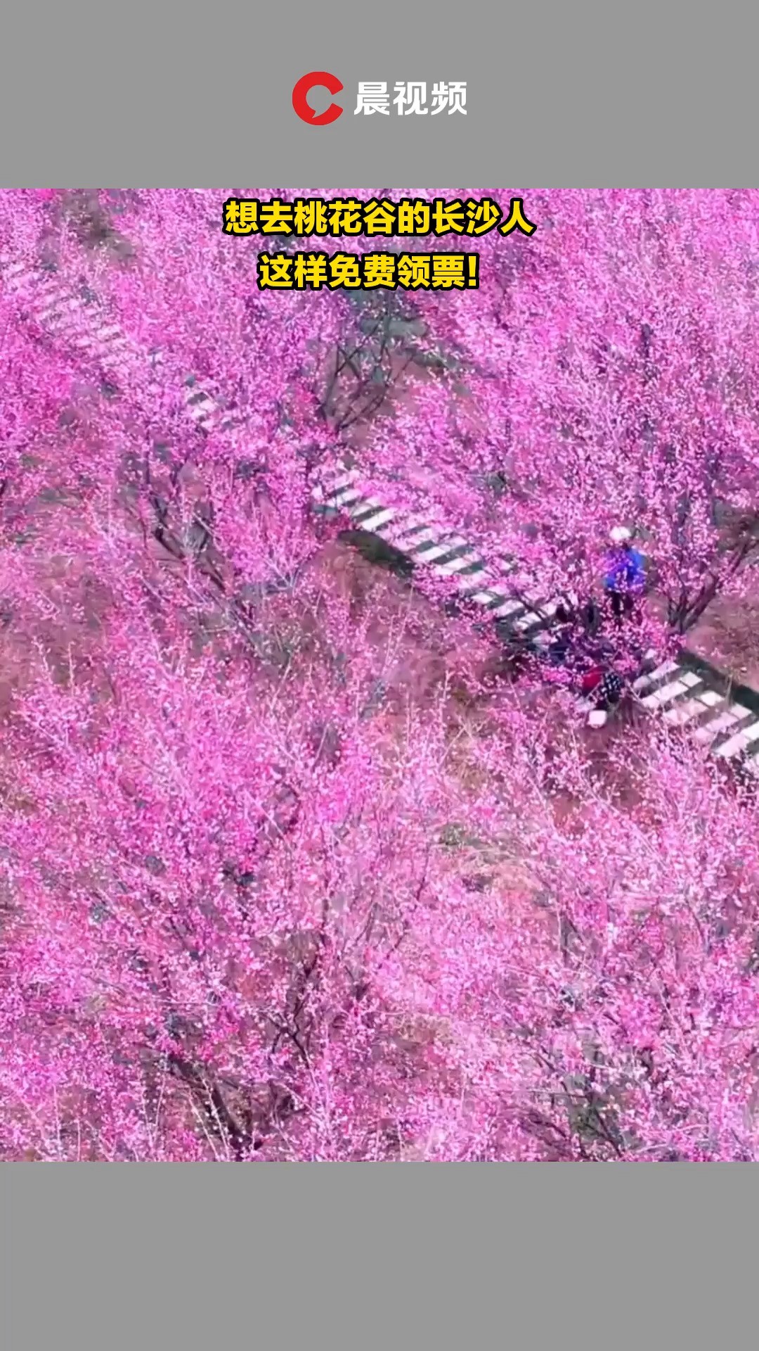 想去桃花谷的长沙人,这样免费领票!