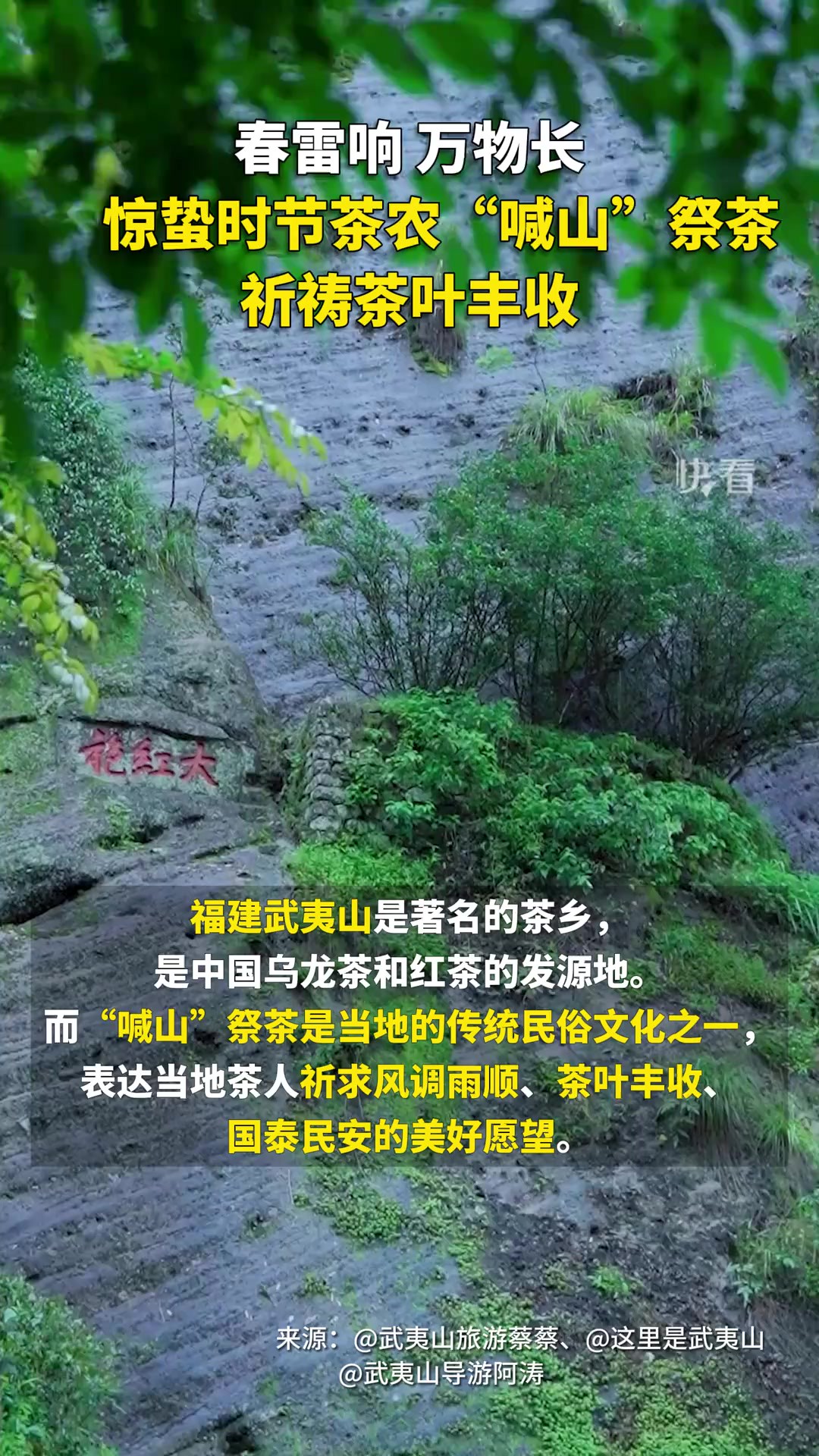 春雷响,万物长.惊蛰时节茶农“喊山”祭茶,祈祷茶叶丰收.