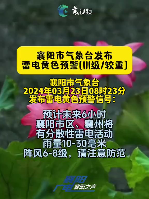 襄阳市气象台2024年03月23日08时23分发布雷电黄色预警信号:预计未来6小时,襄阳市区、襄州将有分散性雷电活动,雨量1030毫米,阵风68级,请注...