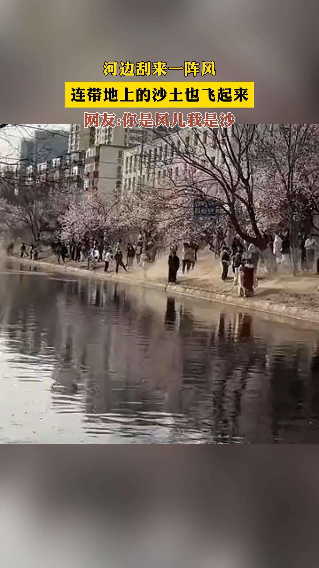 河边刮来一阵风,连带地上的沙土也飞起来,网友:你是风儿我是沙