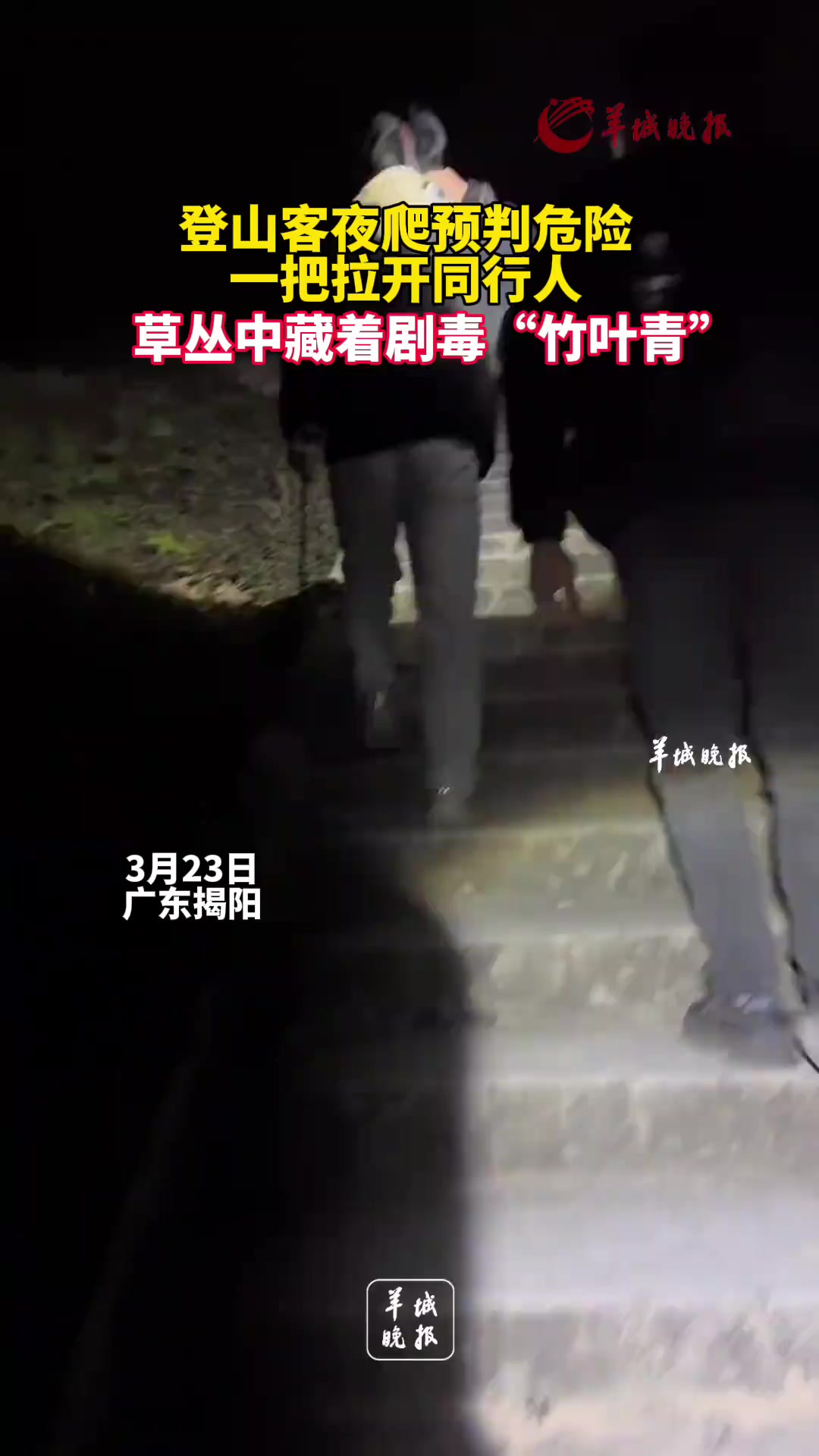 登山客夜爬预判危险一把拉开同行人,草丛中藏着剧毒“竹叶青”