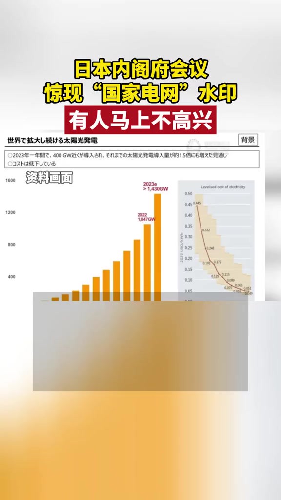 日本内阁府会议惊现“国家电网”水印,有人马上不高兴