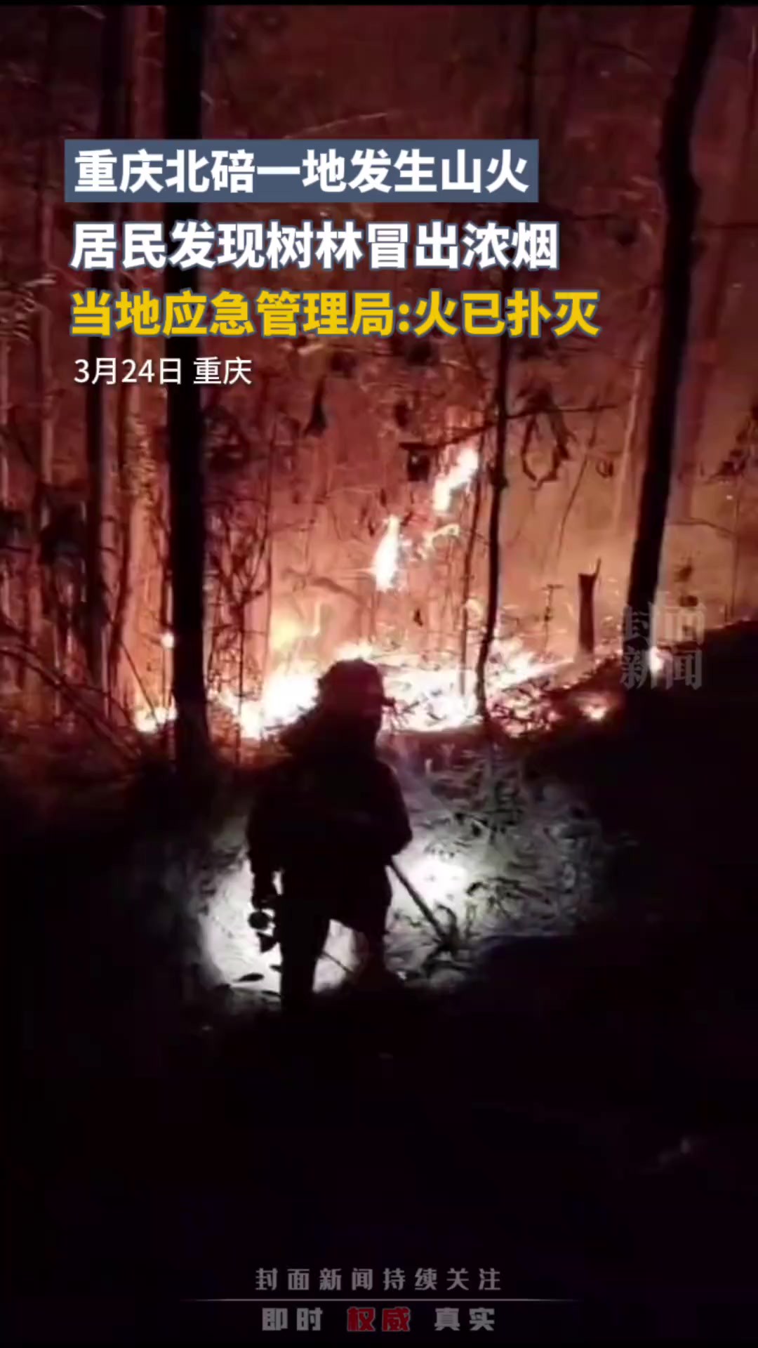 重庆北碚一地发生山火,居民发现树林冒出浓烟,当地应急管理局火已扑灭