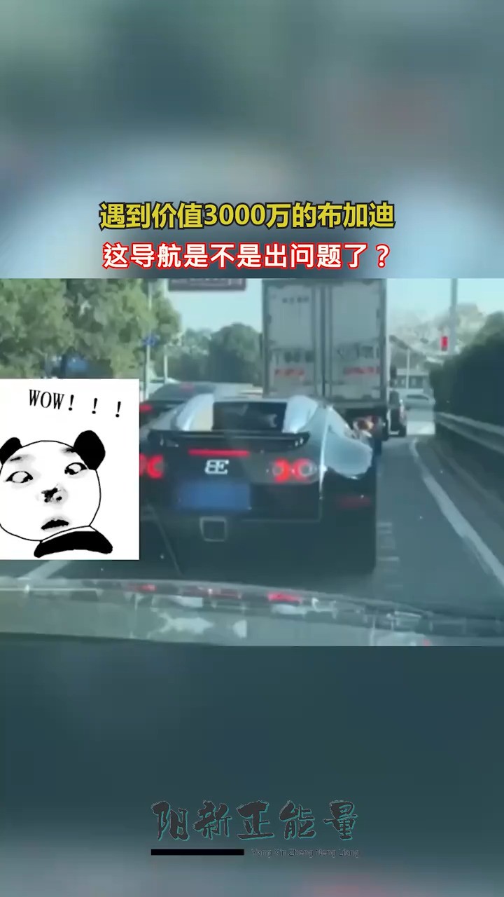 导航是懂人情世故的