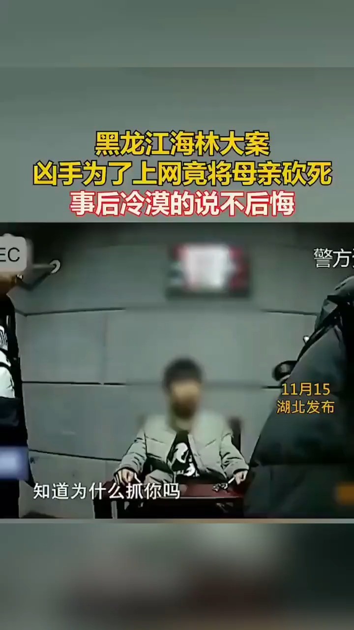 黑龙江海林大案,凶手为了上网竟将母亲砍死,事后冷漠的说不后悔