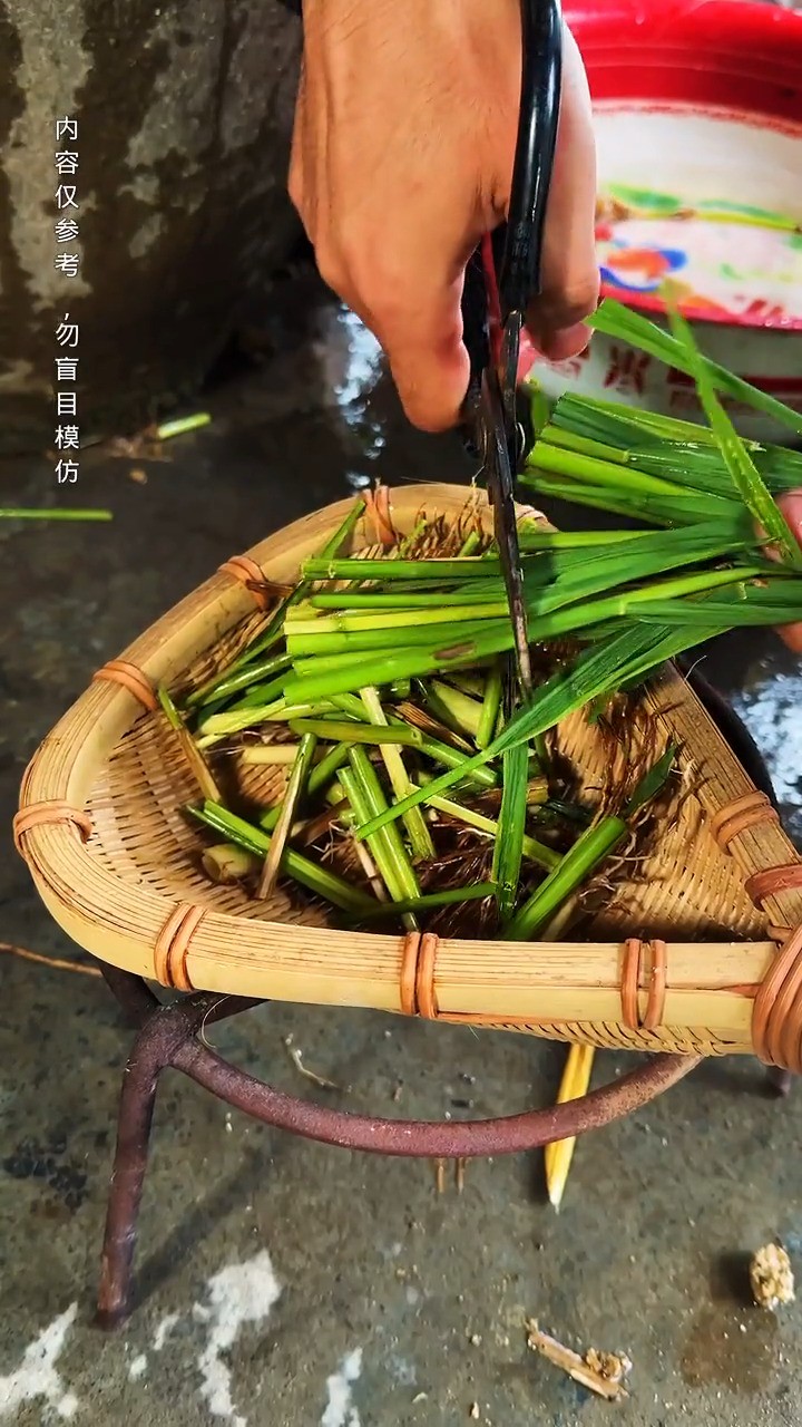 田间地头草~稻草根,农村常见的东西,你对它了解吗?