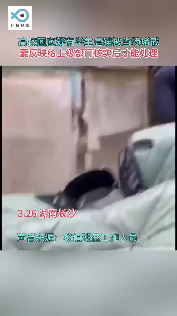 网传中南大学一学生在湖南师范大学南院流浪猫区虐猫后离开,被同学发现后拦路堵截.中南大学校值班室工作人员称,要反映给上级部门,核实后才能处理...