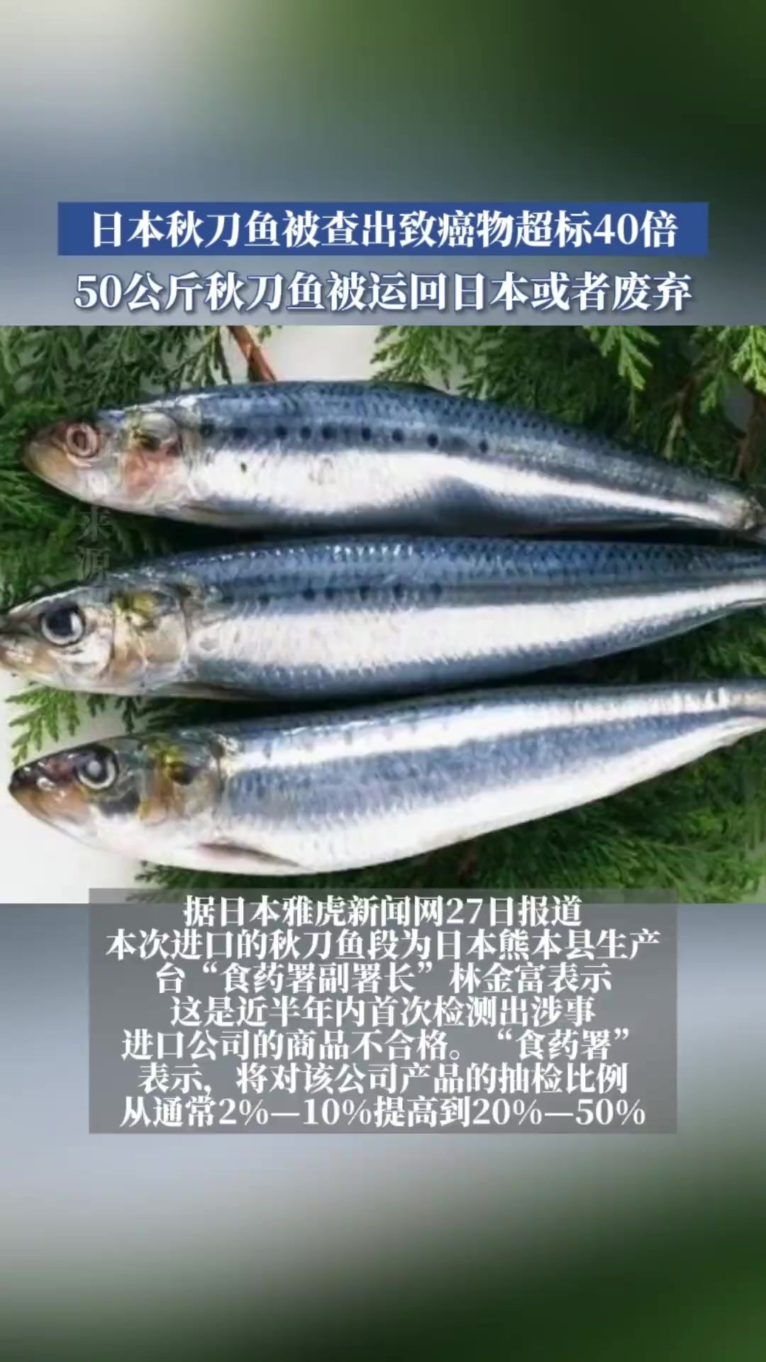 日本秋刀鱼被查出致癌物超标40倍,50公斤秋刀鱼被运回日本或者废弃,并未流入市场