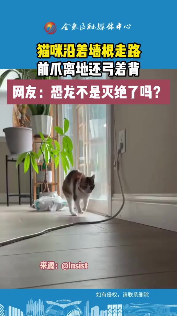 这真是猛兽出没啊! (C)