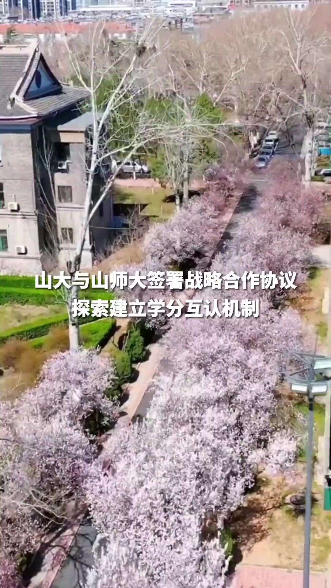 3月27日,山大与山师大签署战略合作协议,探索建立学分互认机制.