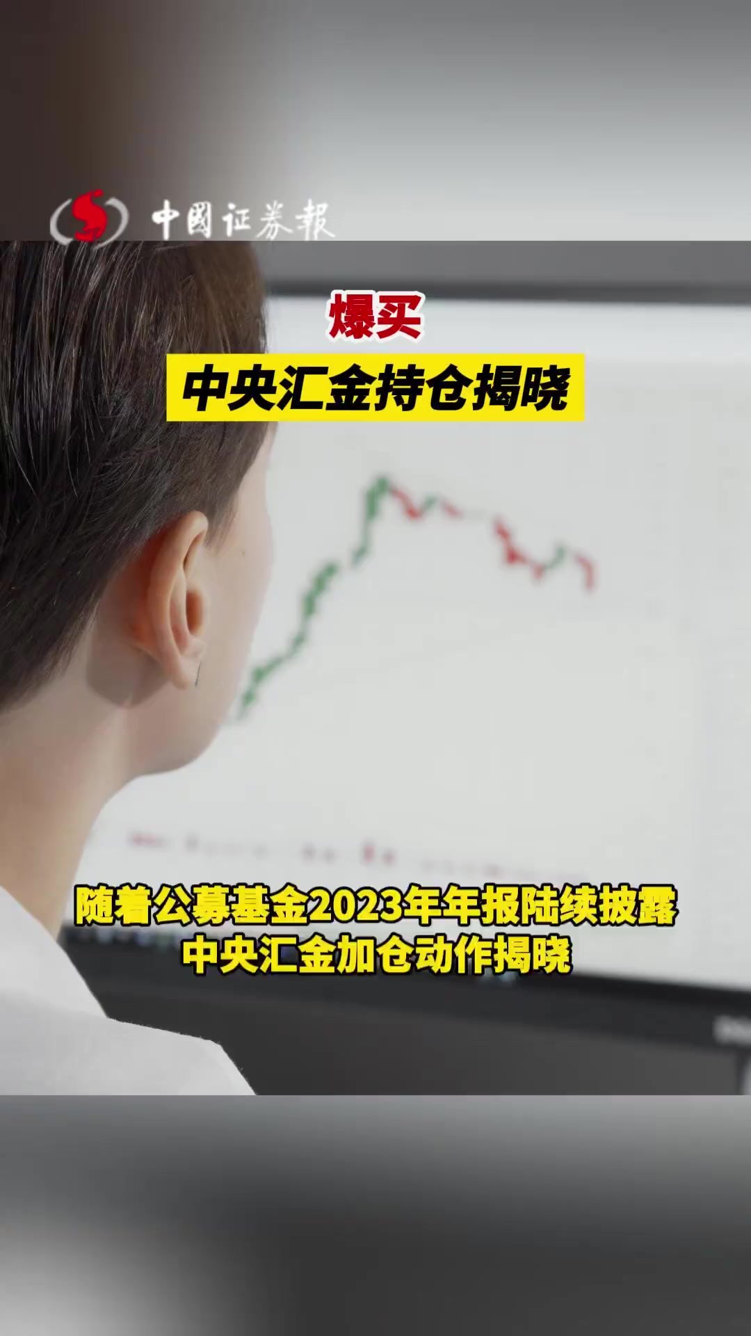 爆买!中央汇金持仓揭晓