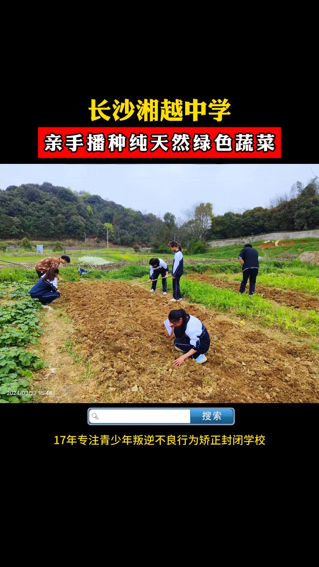 长沙湘越中学:亲手播种纯天然绿色蔬菜,自给自足!#湘越中学#孩子叛逆厌学怎么办#泽邦学校