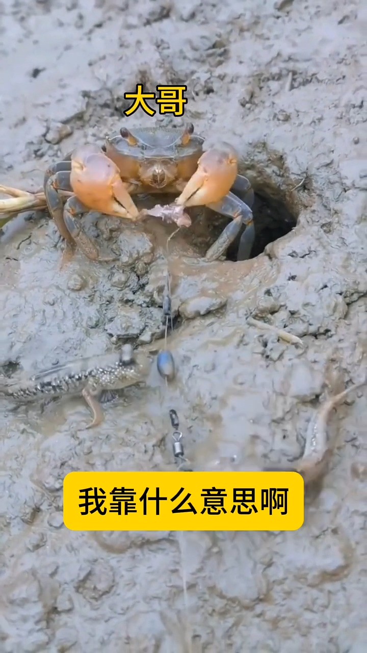 一起去钓鱼吧