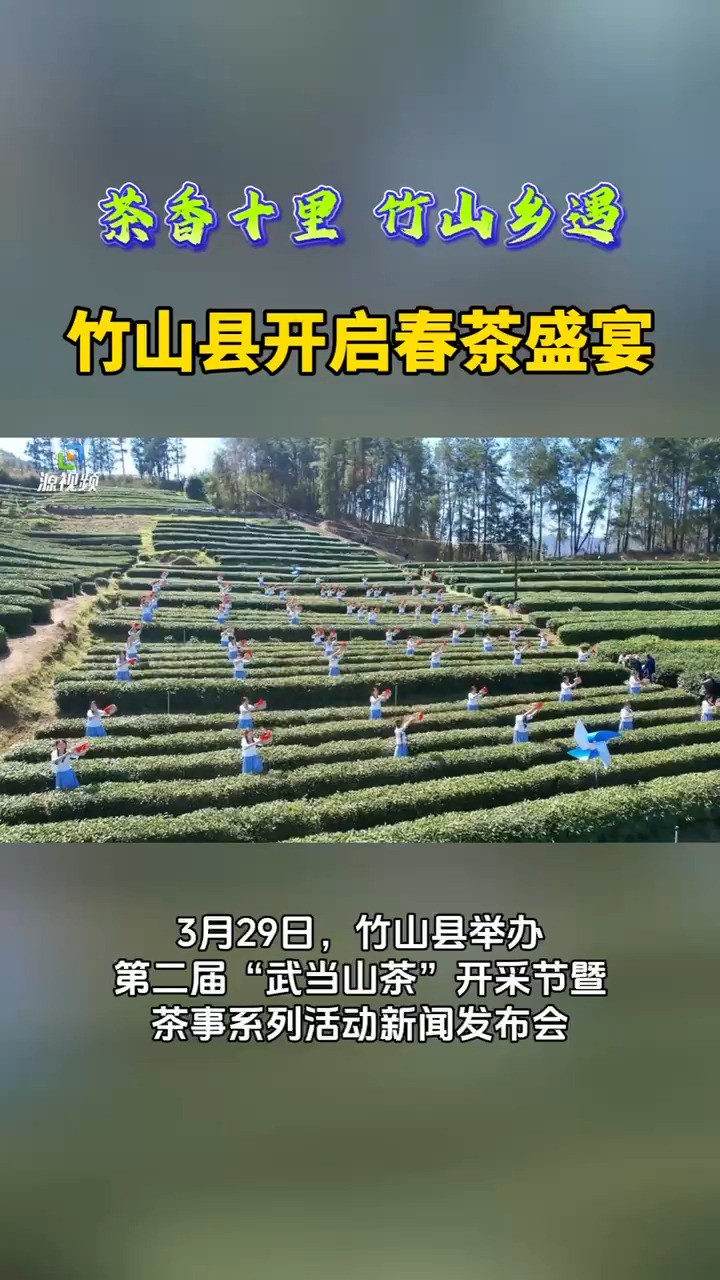 “茶香十里 竹山乡遇”竹山县第二届“武当山茶”茶旅系列活动开启!#茶叶 #十堰 