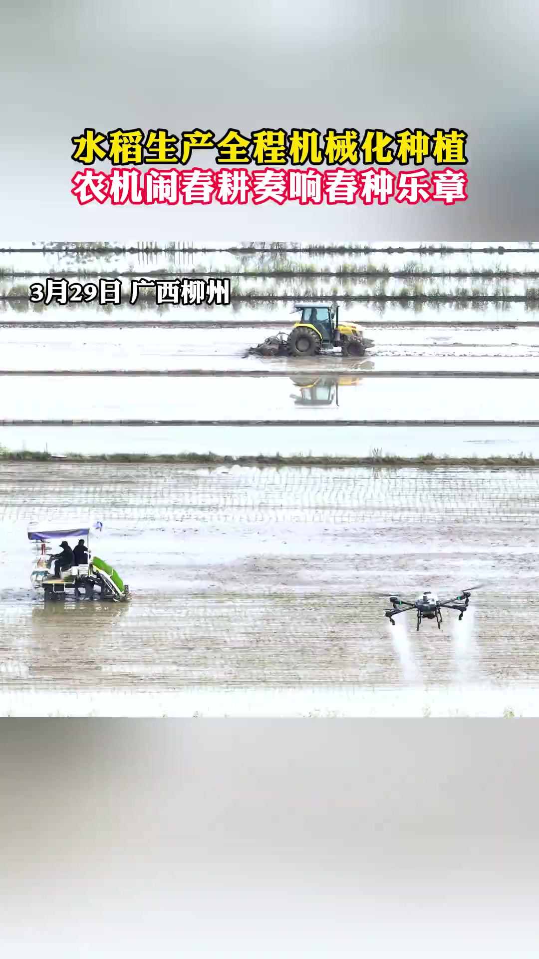 水稻生产全程机械化种植,农机闹春耕奏响春种乐章