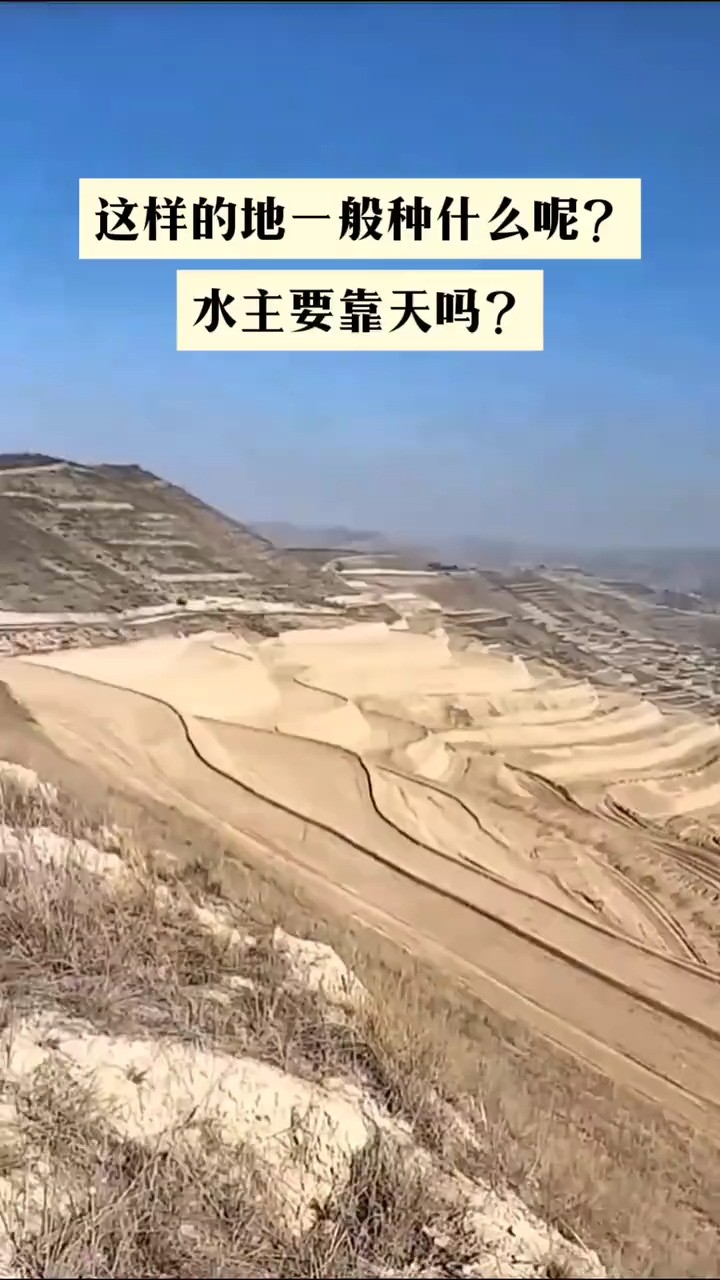 这样的地一般种什么呢水主要靠天吗