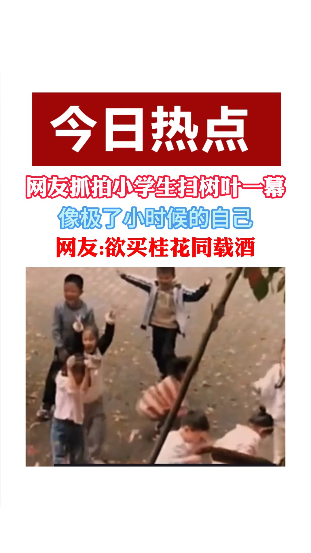 网友抓拍小学生扫树叶一幕像极了小时候的自己网友:欲买桂花同载酒