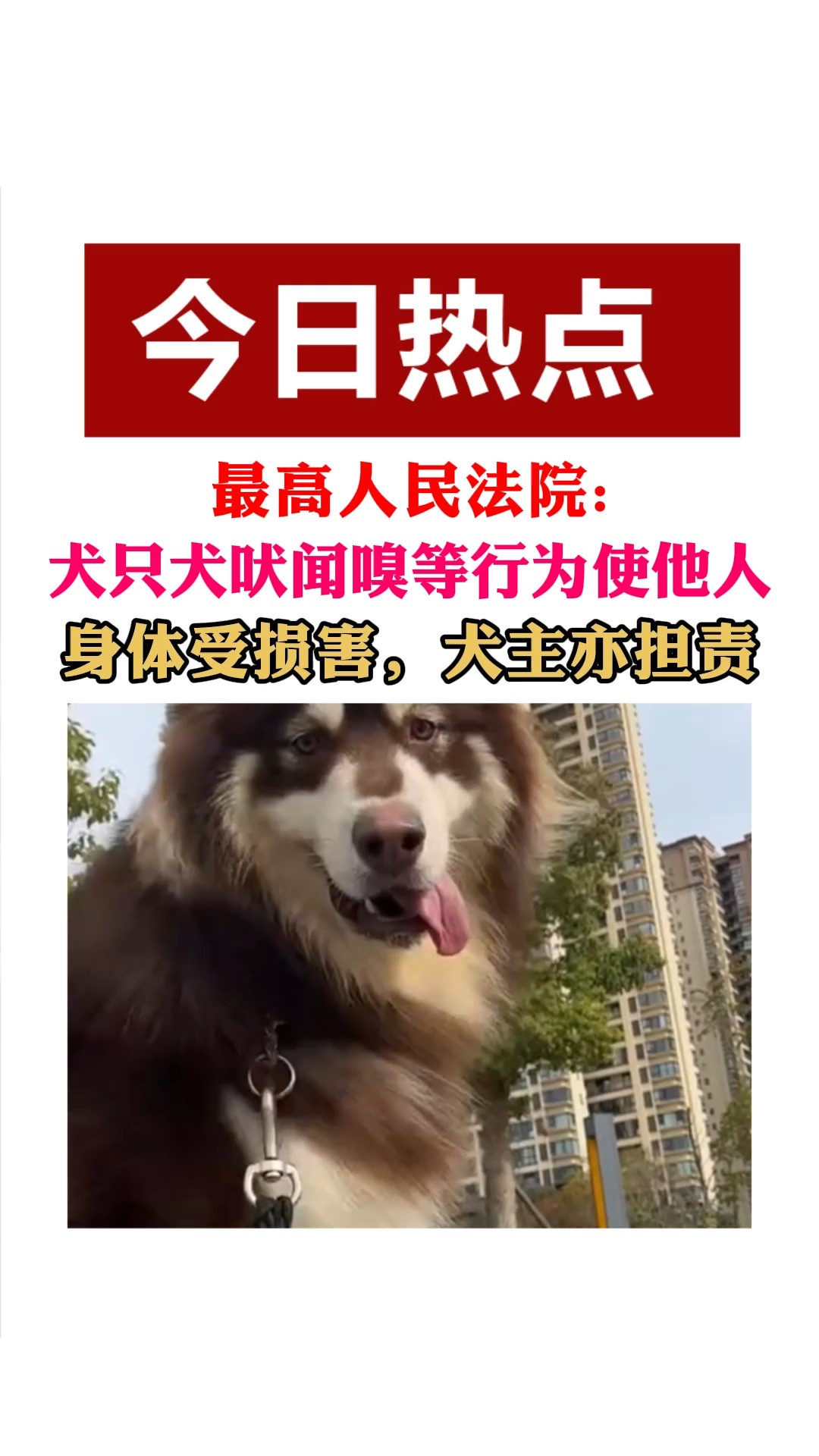 最高人民法院:,犬只犬吠闻嗅等行为使他人,身体受损害,犬主亦担责