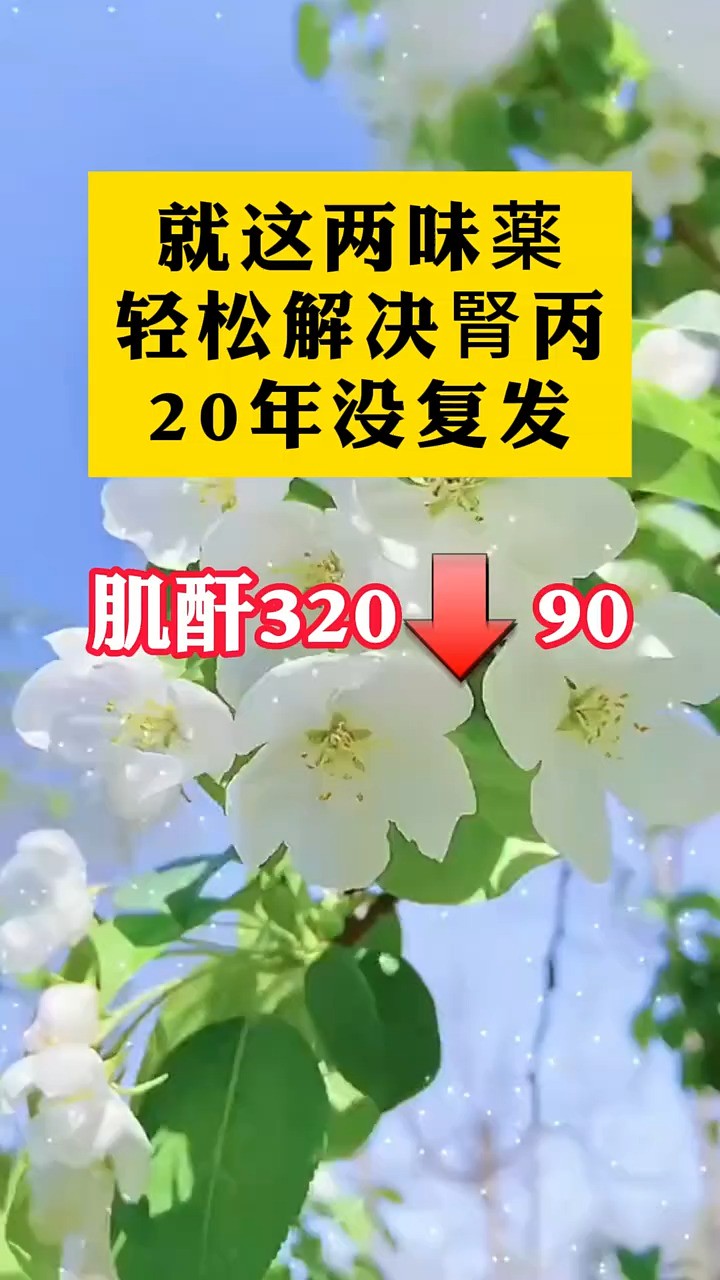 这两味药轻松解絶肾病 #肾病 