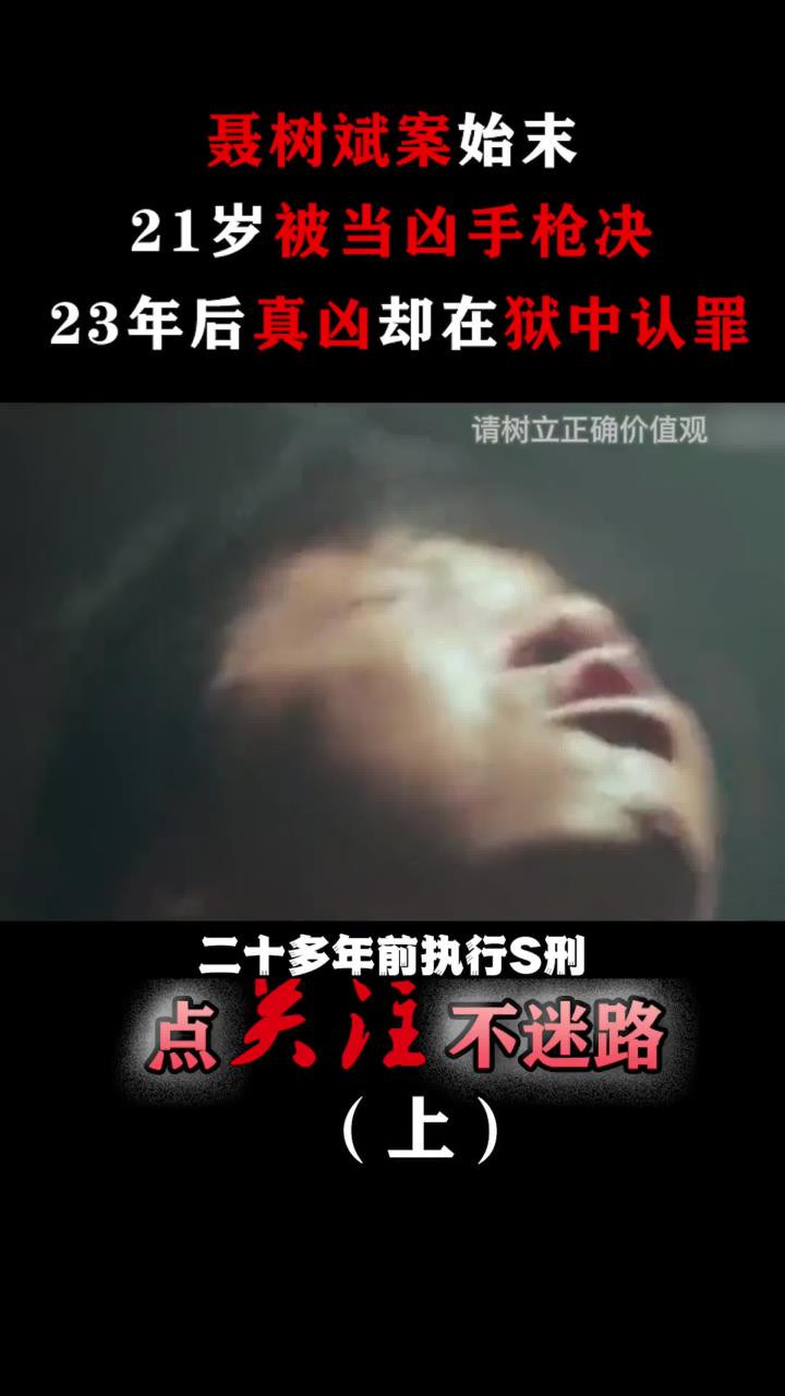 聂树斌案始末:21岁被当凶手枪决,23年后真凶却在狱中认罪!#聂树斌案#真实案件#大案纪实 (1)