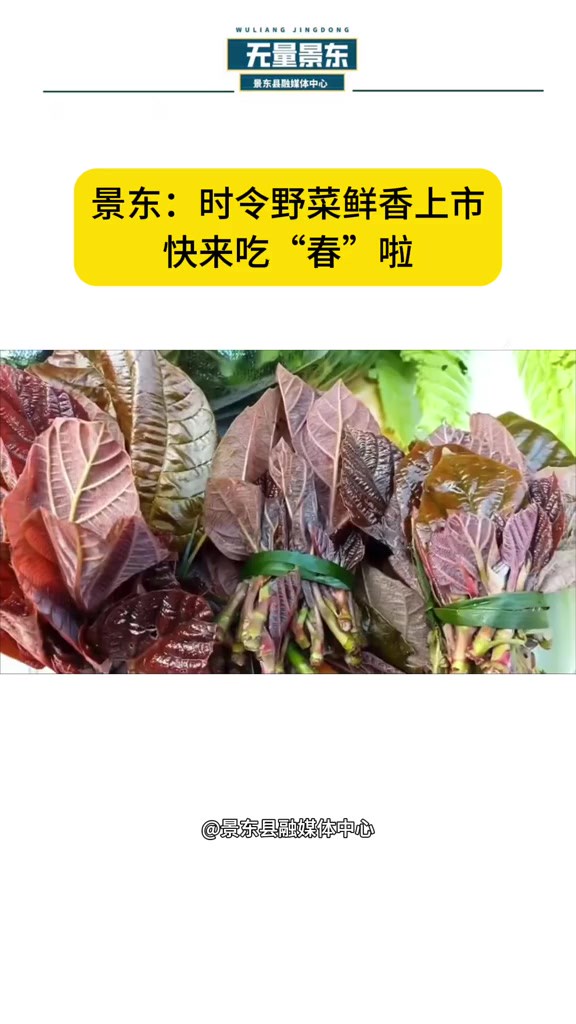 景东时令野菜鲜香上市,快来吃“春”啦!