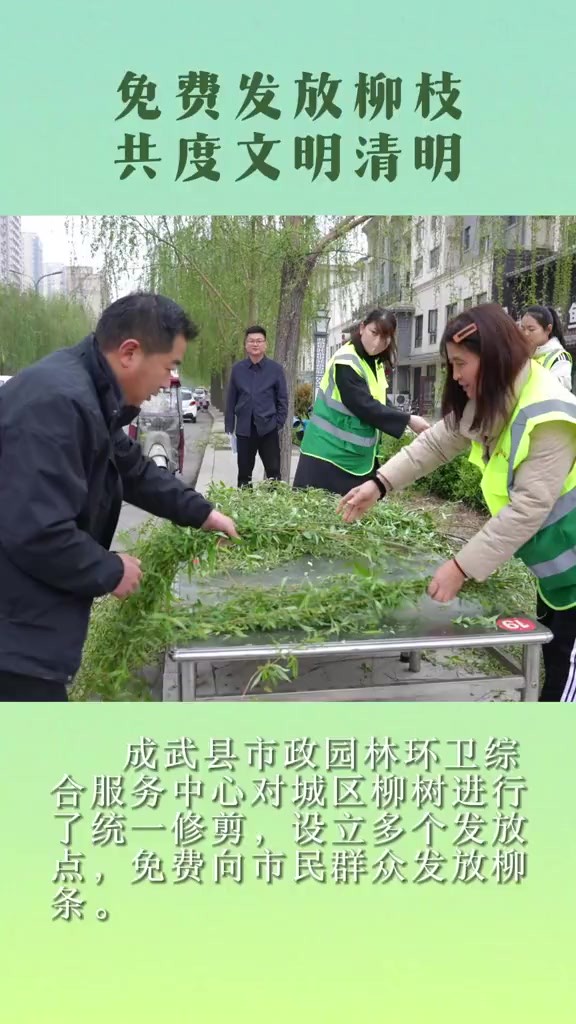 清明节插柳是民间传统习俗之一,为减少市民私自折柳带来的安全问题和对树木造成的破坏,成武县市政园林环卫综合服务中心对城区柳树进行了统一修剪,...