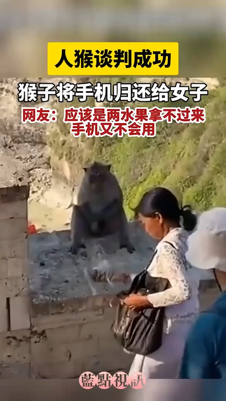 谈判成功,解决问题